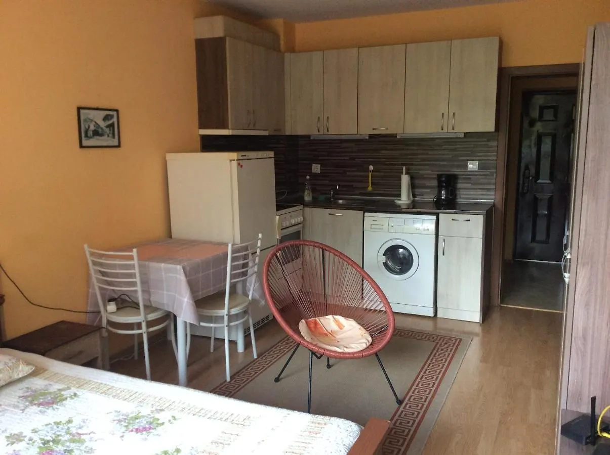 Marina Studio Μπουργκάς Διαμέρισμα